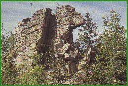 Am Zipfeltannenfelsen