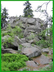 Saubadfelsen in der N�he des Waldhauses und Rotwildgeheges