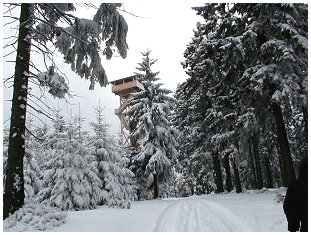 Bis zum n�chsten Wiedersehn am h�chsten Punkt des Steinwaldes